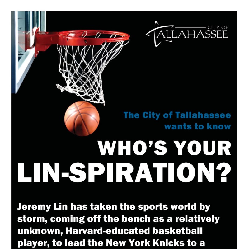 "Lin-Credible" poster thumbnail