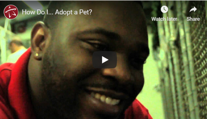 screenshot of a video still with a black man looking down and smiling